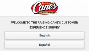 Raising Cane's survey.